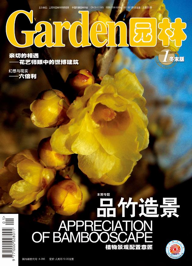 2011年期刊