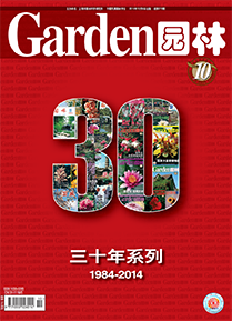 《园林》创刊30年